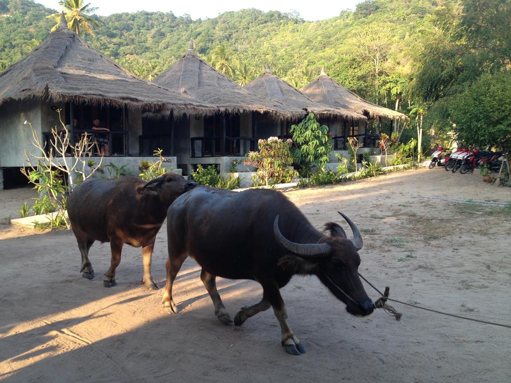 Secret Garden Village Koh Tao Exterior photo